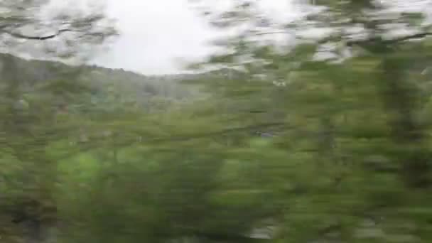 Zielony Krajobraz Przelatuje Obok Okna Pociągu — Wideo stockowe