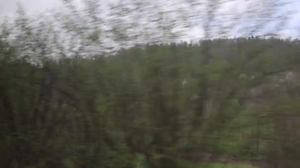 Paysage Vert Passe Devant Fenêtre Train — Video