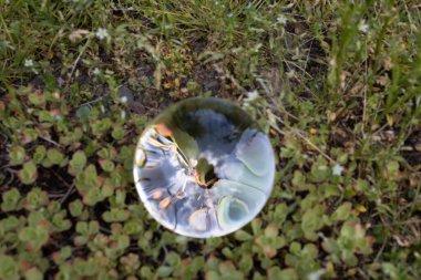 Arazi cam topun içinde baş aşağı dönmüş.