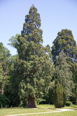 Kale Gracht mit kale parkı