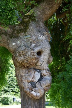 Kale Gracht mit kale parkı