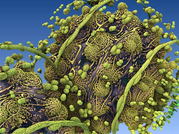 Powierzchni Wirusa Organizmie Człowieka Renderowania — Zdjęcie stockowe