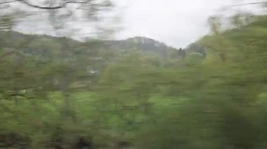 Yeşil manzara tren penceresinin önünden uçuyor.