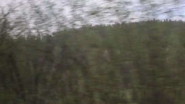 Зелений Пейзаж Проходить Через Вікно Поїзда — стокове відео