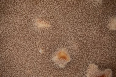 Buz kristalleri buzlu dondurmanın soğuk çikolata yüzeyinde donar.