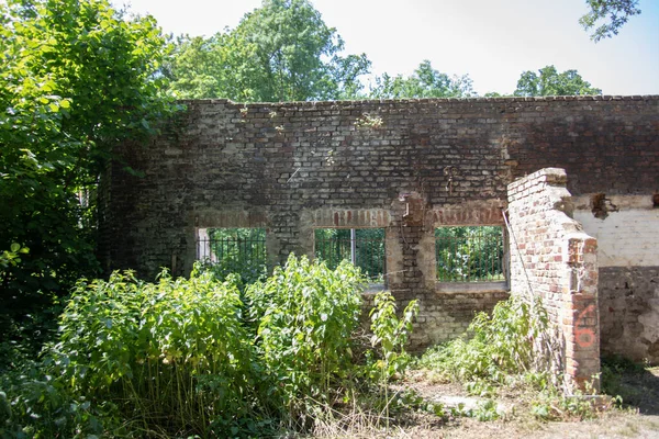 Viejo Lugar Perdido Ruinas Bosque — Foto de Stock