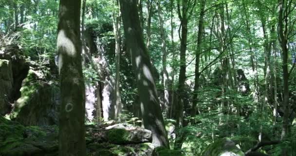 Felsenmeer Hemer Con Enormi Formazioni Rocciose Nella Foresta — Video Stock