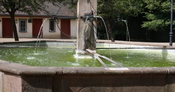 Water Flows Fountain Castle Lauenburg — Stock Video