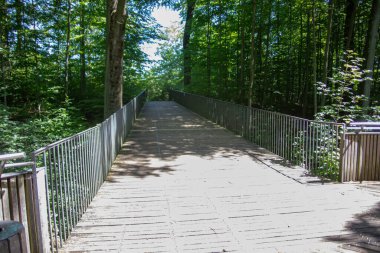 Hemer 'deki Felsenmeer Ormanında büyük kaya oluşumlarıyla