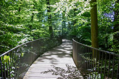 Hemer 'deki Felsenmeer Ormanında büyük kaya oluşumlarıyla