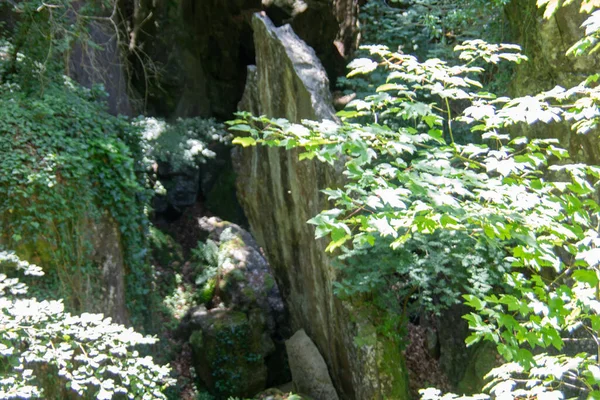森の中に巨大な岩が形成されたヘメルのフェルゼンマイヤー — ストック写真