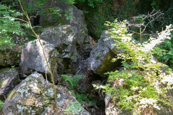 Felsenmeer Στο Hemer Τεράστιους Σχηματισμούς Βράχων Στο Δάσος — Φωτογραφία Αρχείου