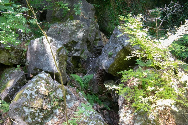 Felsenmeer Hemerben Hatalmas Sziklaformációkkal Erdőben — Stock Fotó