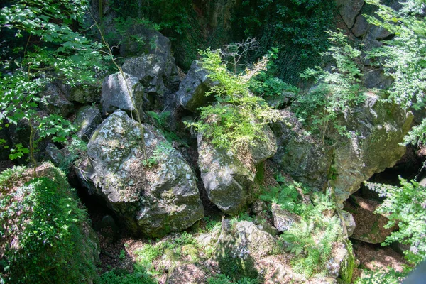 Felsenmeer Hemer Com Enormes Formações Rochosas Floresta — Fotografia de Stock