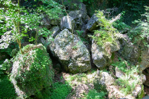 Felsenmeer Στο Hemer Τεράστιους Σχηματισμούς Βράχων Στο Δάσος — Φωτογραφία Αρχείου