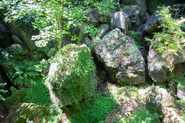 森の中に巨大な岩が形成されたヘメルのフェルゼンマイヤー — ストック写真