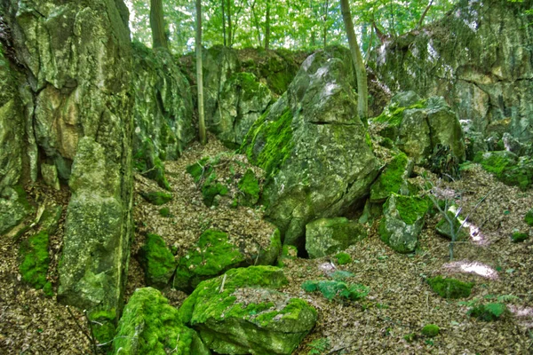 海默的费森米尔森林里有巨大的岩层 — 图库照片