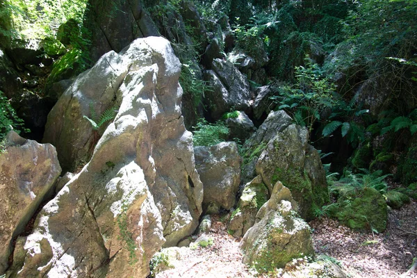 Felsenmeer Hemer Ogromnymi Formacjami Skalnymi Lesie — Zdjęcie stockowe