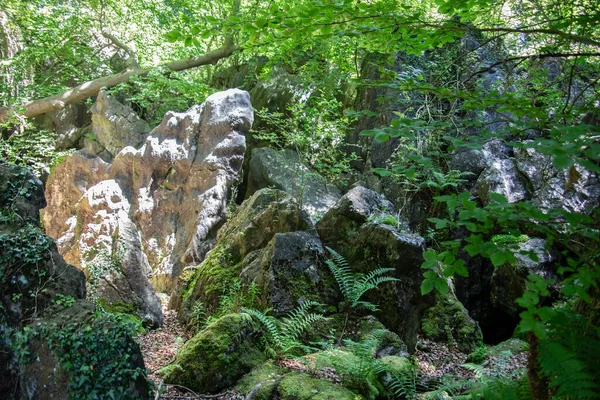 Фельзенмера Гемері Величезними Скельними Утвореннями Лісі — стокове фото