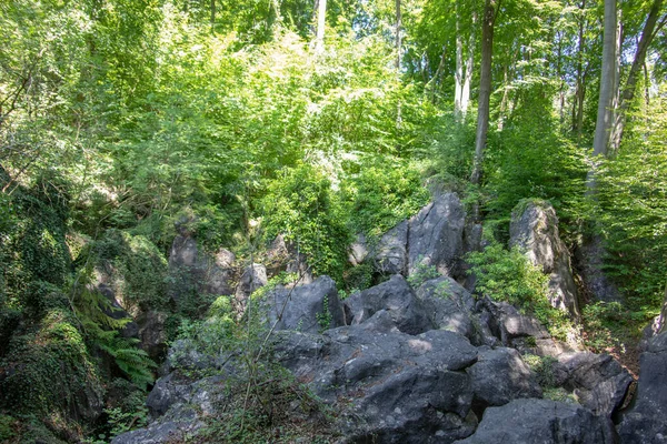 Felsenmeer Hemerben Hatalmas Sziklaformációkkal Erdőben — Stock Fotó