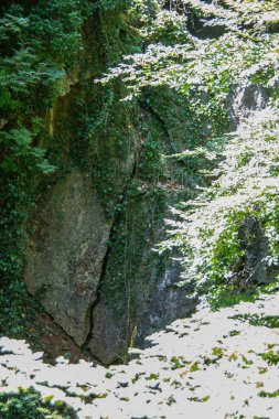 Hemer 'deki Felsenmeer Ormanında büyük kaya oluşumlarıyla