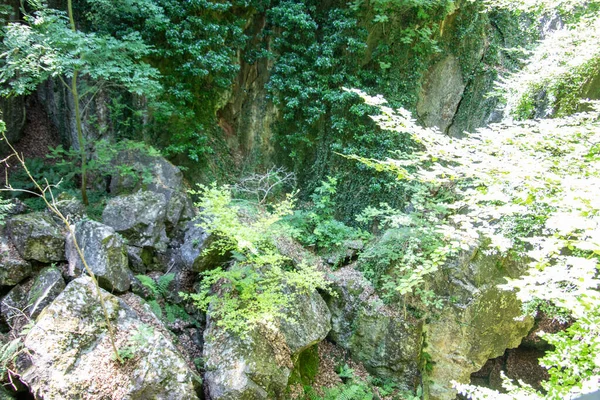 海默的费森米尔森林里有巨大的岩层 — 图库照片