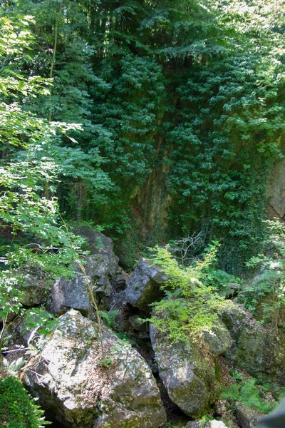 Фельсенхаус Хемере Огромными Скальными Формациями Лесу — стоковое фото