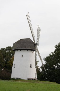 Doğada kanatları olan eski yel değirmeni