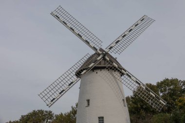 Doğada kanatları olan eski yel değirmeni