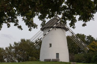 Doğada kanatları olan eski yel değirmeni
