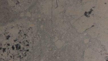 Darkfield 'da mikroskop altında kireçtaşı kayası