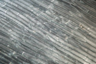 Mikroskop altında bitki hücreli soğan derisi