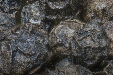 Büyüteçin altında baharat olarak biber taneleri