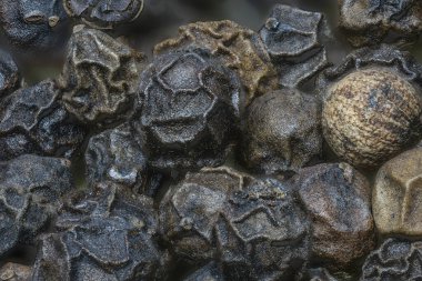 Büyüteçin altında baharat olarak biber taneleri