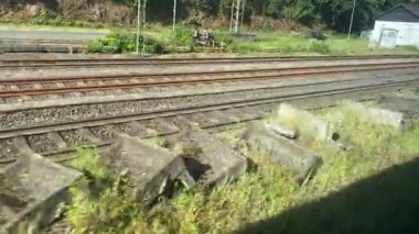 Yeşil manzara tren penceresinin önünden uçuyor.