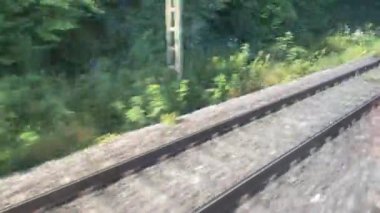 Yeşil manzara tren penceresinin önünden uçuyor.