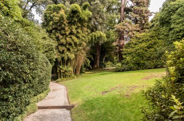 Maggiore Gölü üzerindeki Isola Madre botanik bahçesi, Stresa, Verbania, İtalya