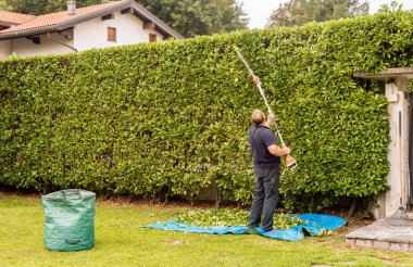 Bahçede elektrikli çit biçme makinesiyle çitleri kesen olgun bir adam..