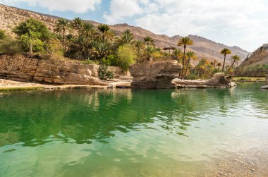 Umman Sultanlığı çölündeki Wadi Bani Khalid vahasının manzarası..