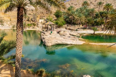 Umman Sultanlığı çölündeki Wadi Bani Khalid vahasının manzarası..
