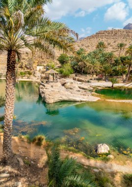 Umman Sultanlığı çölündeki Wadi Bani Khalid vahasının manzarası..