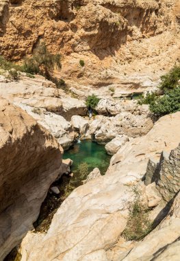 Umman Sultanlığı çölündeki Wadi Bani Khalid vahasının manzarası..