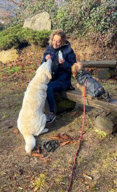 Bankta oturan bayan köpeklere atıştırmalık veriyor..