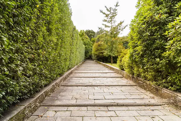 Maggiore Gölü üzerindeki Isola Madre Botanik Bahçesi, Stresa, Verbania, İtalya