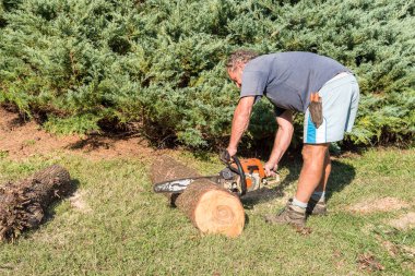 Bahçede odun bulmak için ağaç gövdesi kesmek için elektrikli testere kullanan profesyonel bahçıvan..