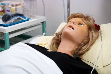 Bu atölye sırasında öğrenciler doğum sonrası acil bir durumla karşı karşıya kalacaklar ve komşu bir odada çalışan operatörlerin sipariş ettiği model Victoria S2200 üzerinde çalışırken acil durum prosedürlerini uygulamak zorunda kalacaklar.