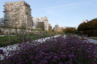 Paris, Ile de France, Fransa 'daki bir parkta biyolojik çeşitlilik.