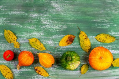 Sonbahar sebzeleri: Balkabakları ve balkabakları - Üst Manzara