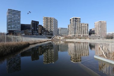 Paris, Ile de France, Fransa 'daki bir parkta biyolojik çeşitlilik.