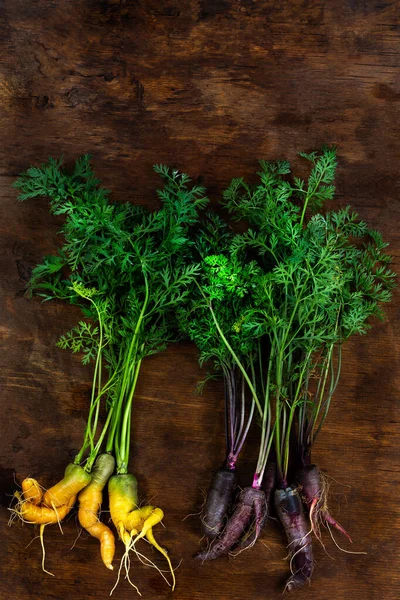 Две Пучки Старой Моркови Био Откалиброваны Считаются Уродливыми Овощами — стоковое фото